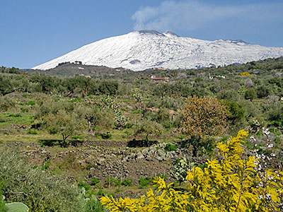 vente huile olive italie sicile